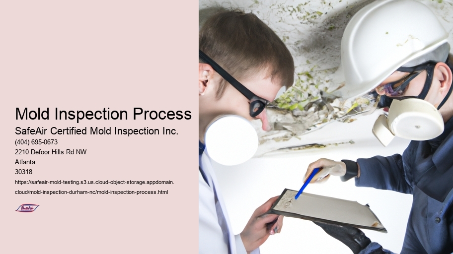 Mold Inspection Process