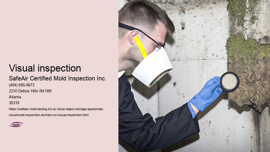 Visual inspection