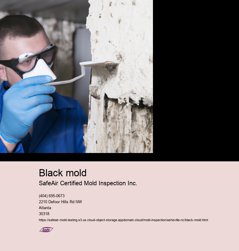 Black mold