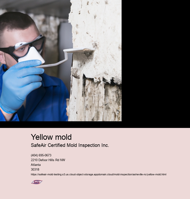 Yellow mold