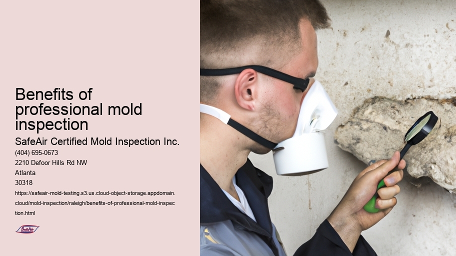 Benefits of professional mold inspection