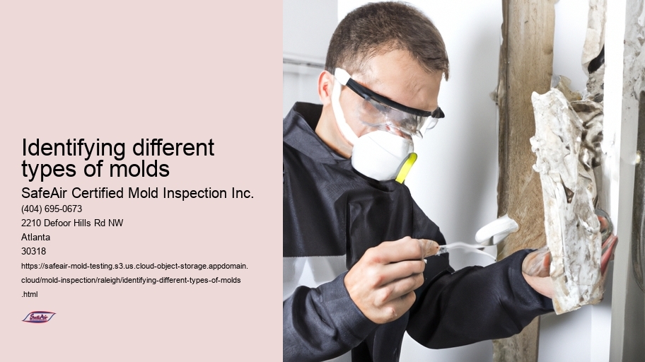 Identifying different types of molds