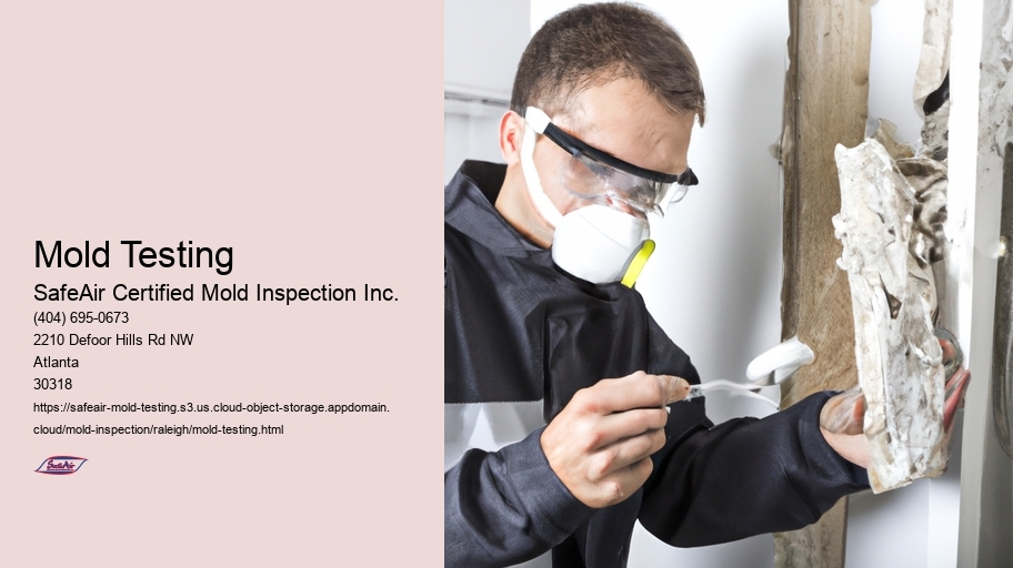 Mold Testing