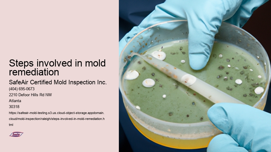 Steps involved in mold remediation