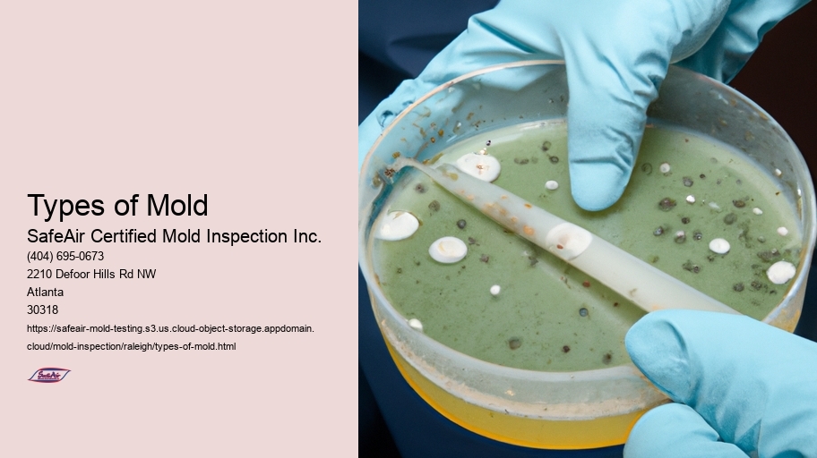 Types of Mold