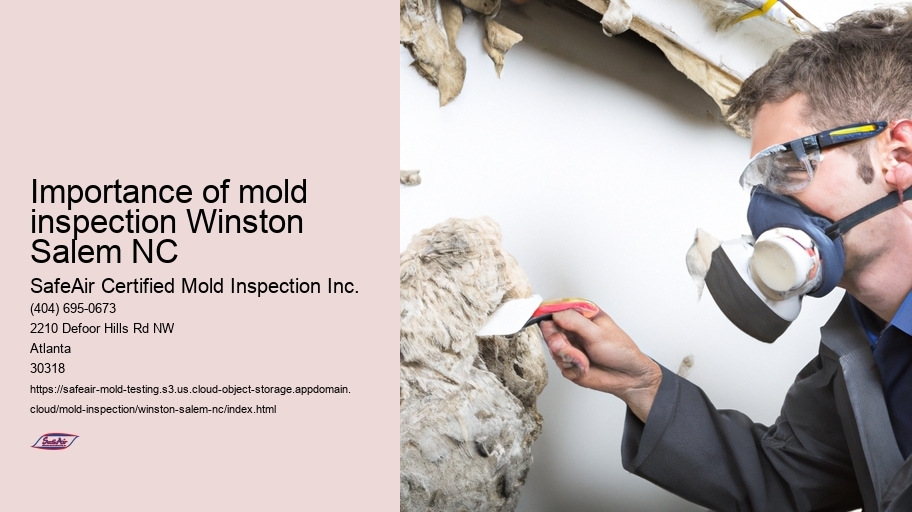Importance of mold inspection Winston Salem NC