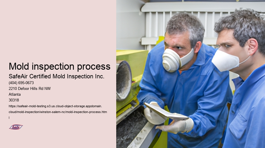 Mold inspection process