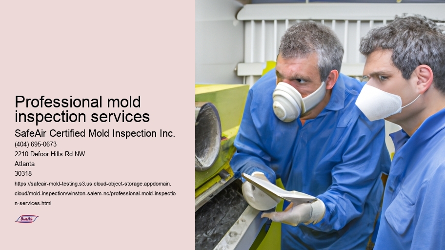 Professional mold inspection services