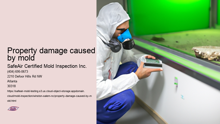 Property damage caused by mold