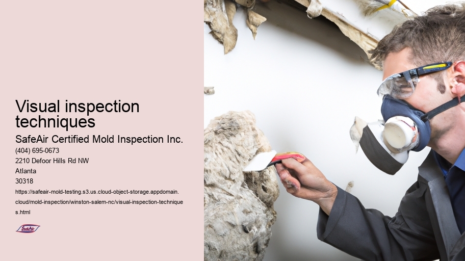 Visual inspection techniques