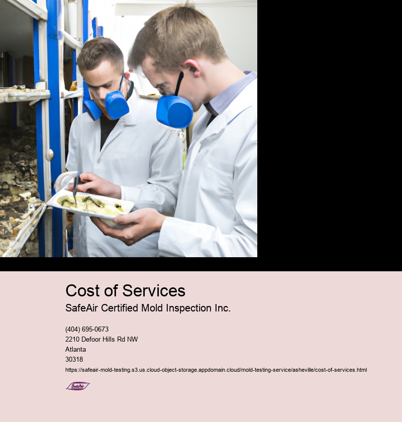 Factors influencing the cost of services