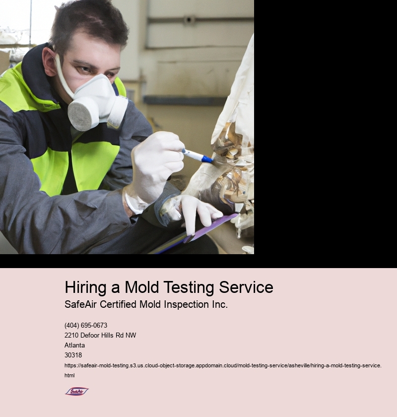 Benefits of hiring a professional mold testing service