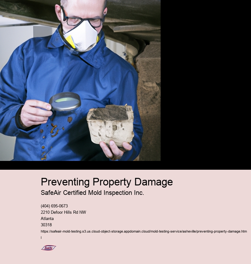 Importance of Preventing Property Damage