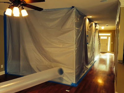 Methods of conducting mold testing