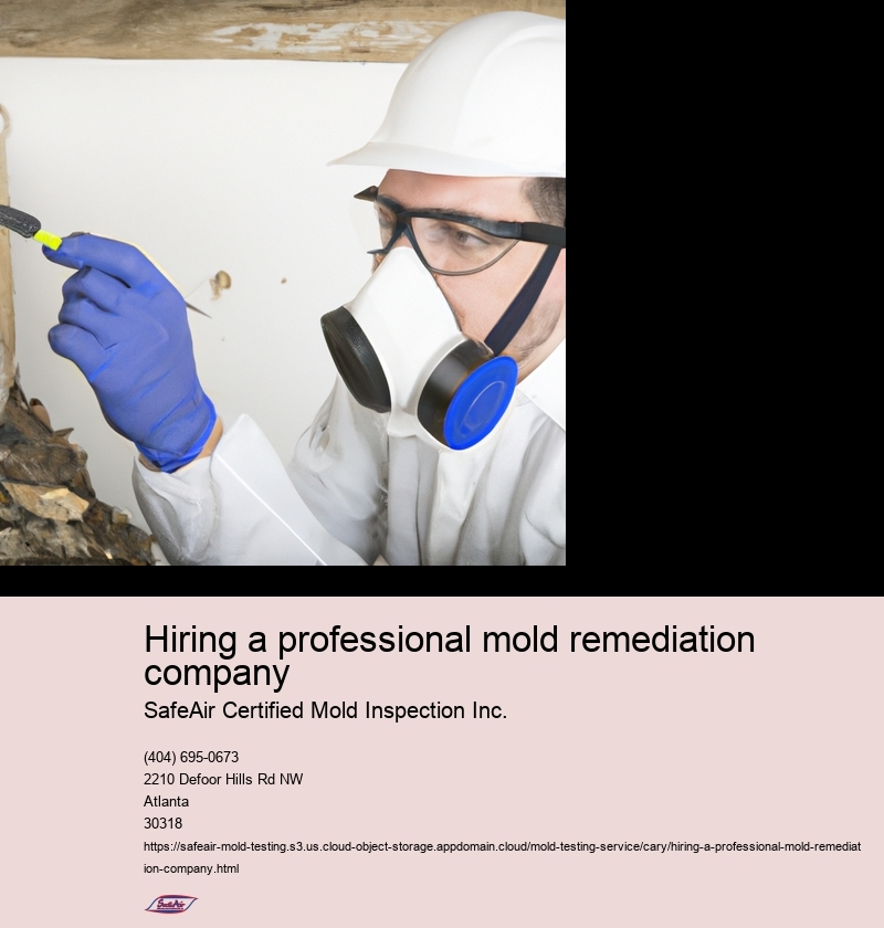 Hiring a professional mold remediation company