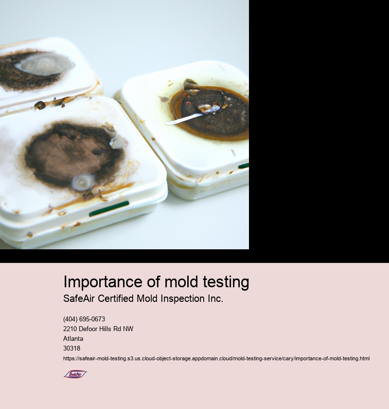 Importance of mold testing