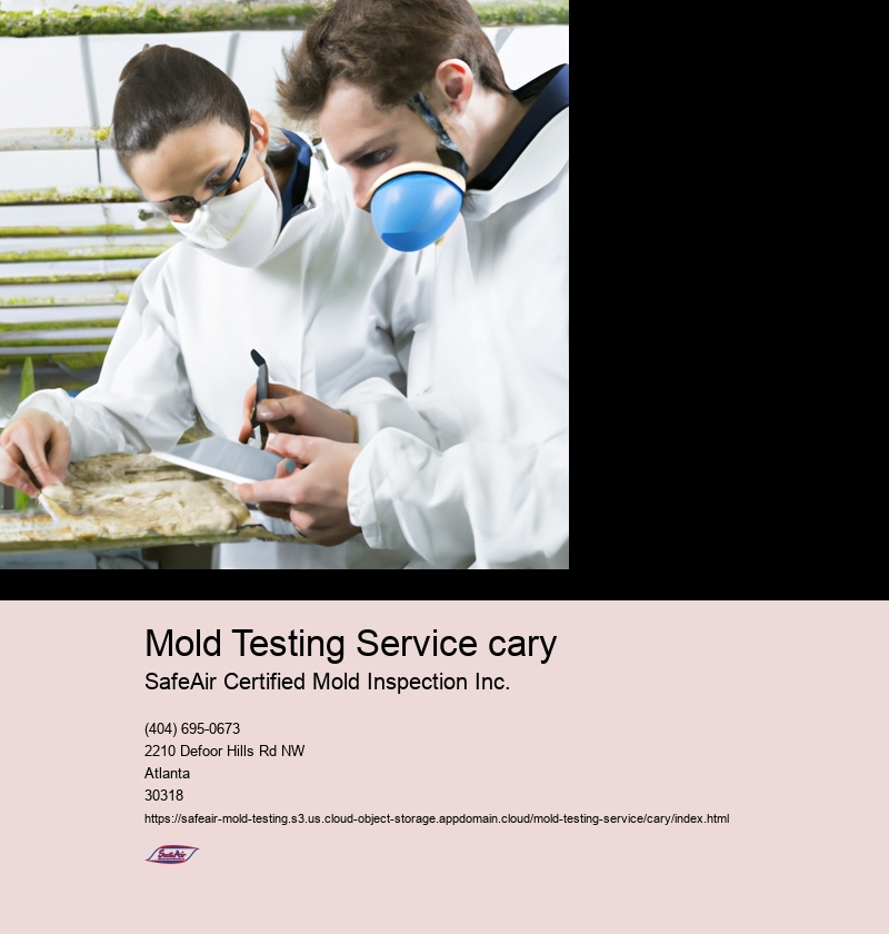 Mold Testing Service cary