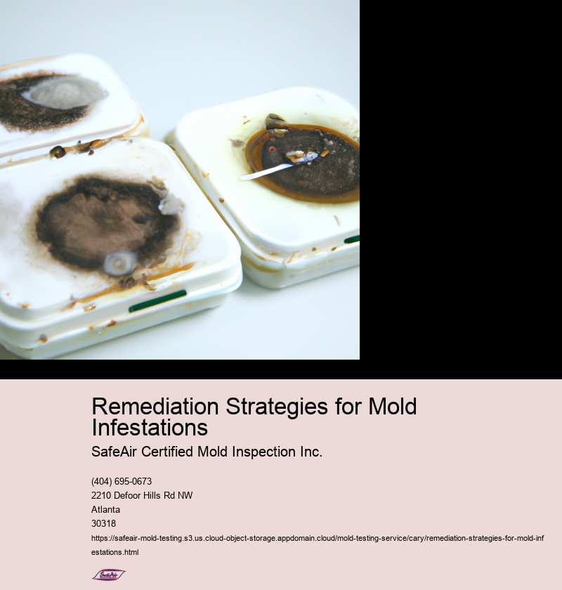 Remediation Strategies for Mold Infestations