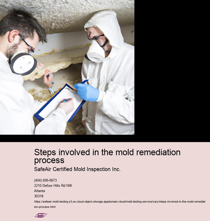 Steps involved in the mold remediation process