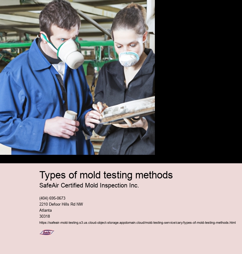 Types of mold testing methods