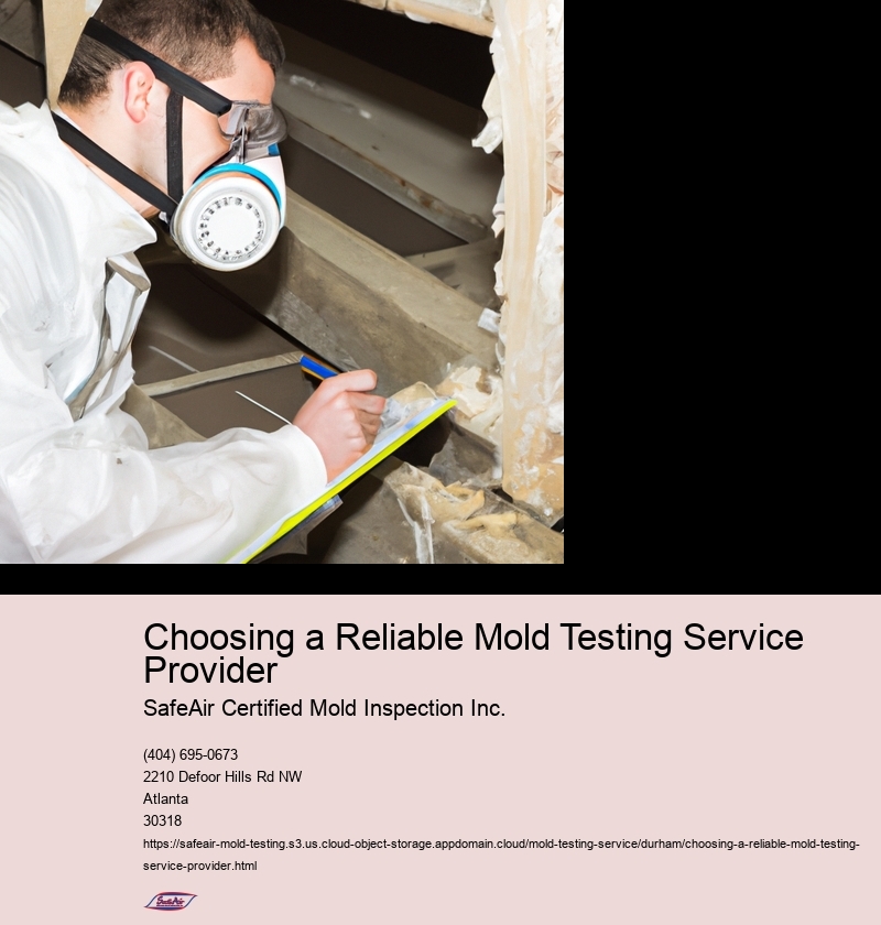 Choosing a Reliable Mold Testing Service Provider