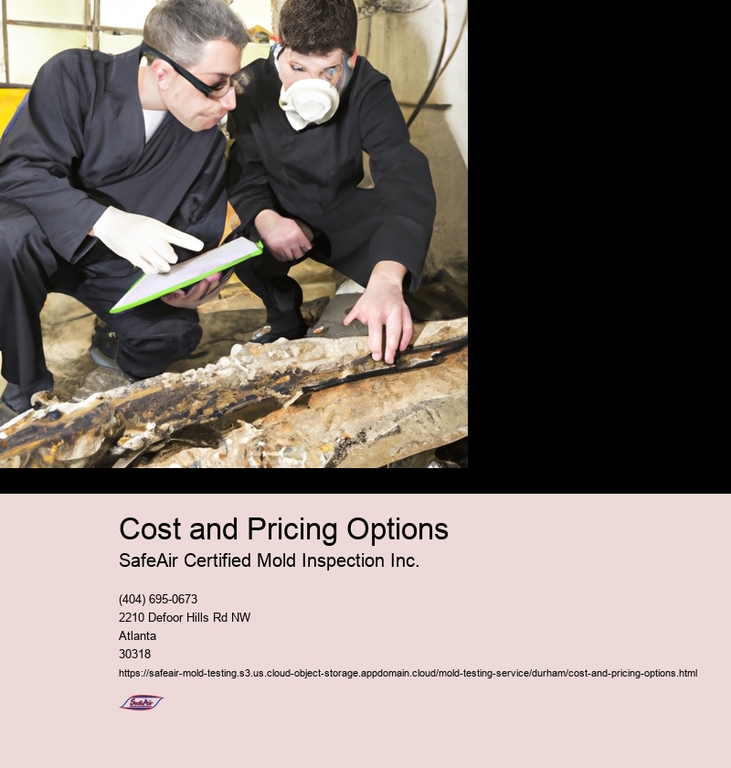 Cost and Pricing Options