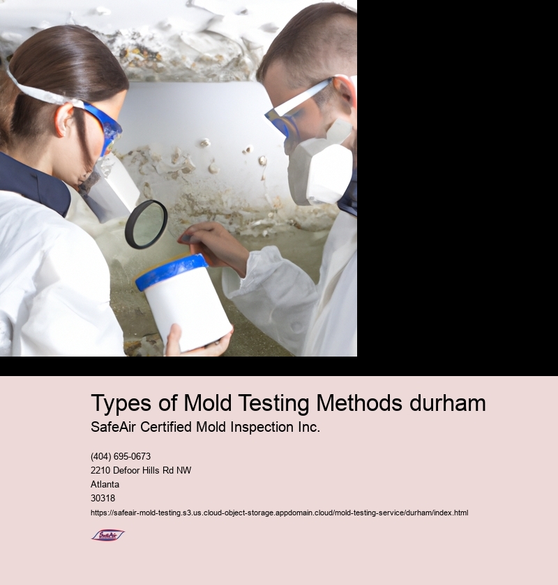 Types of Mold Testing Methods durham