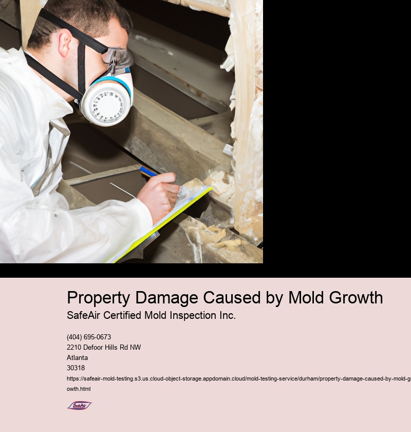 Property Damage Caused by Mold Growth